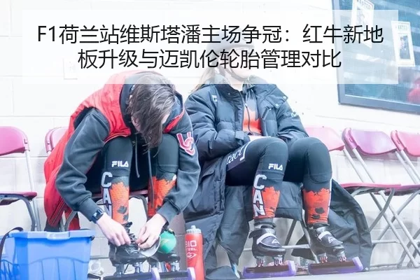 he-lan-zhan-wei-si-ta-pan-zhu-chang-zheng-guan-hong-niu-xin-di-ban-sheng-ji-yu-mai-kai-lun-lun-tai-guan-li-dui-bi-2-258.jpg