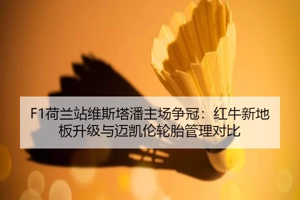 he-lan-zhan-wei-si-ta-pan-zhu-chang-zheng-guan-hong-niu-xin-di-ban-sheng-ji-yu-mai-kai-lun-lun-tai-guan-li-dui-bi-3-437.jpg